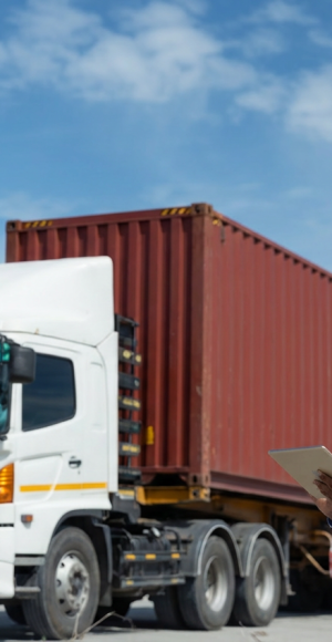 envato-labs-image-edit (24)
