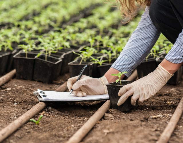 Biotechnology woman engineer with a clipboard and pen examining a plant  for disease!